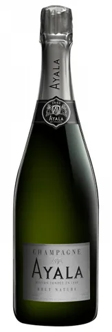 Bottiglia di Champagne Brut Nature Ayala
