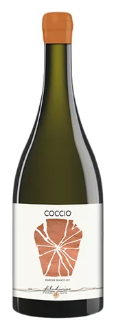 Bottiglia di Coccio 2022, Filodivino