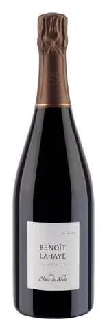 Bottiglia di Champagne Extra Brut Blanc de Noirs, Benoît Lahaye