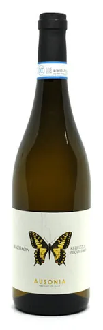 Bottiglia di Pecorino Machaon Anfora 2023, Ausonia