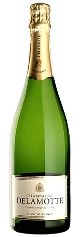 Bottiglia di Champagne Blanc De Blancs, Delamotte