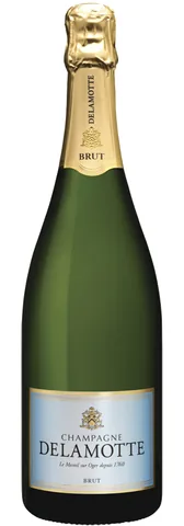 Bottiglia di Champagne Brut Delamotte