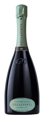 Bottiglia di Franciacorta 'Alma Non Dosato Assemblage 2' Bellavista